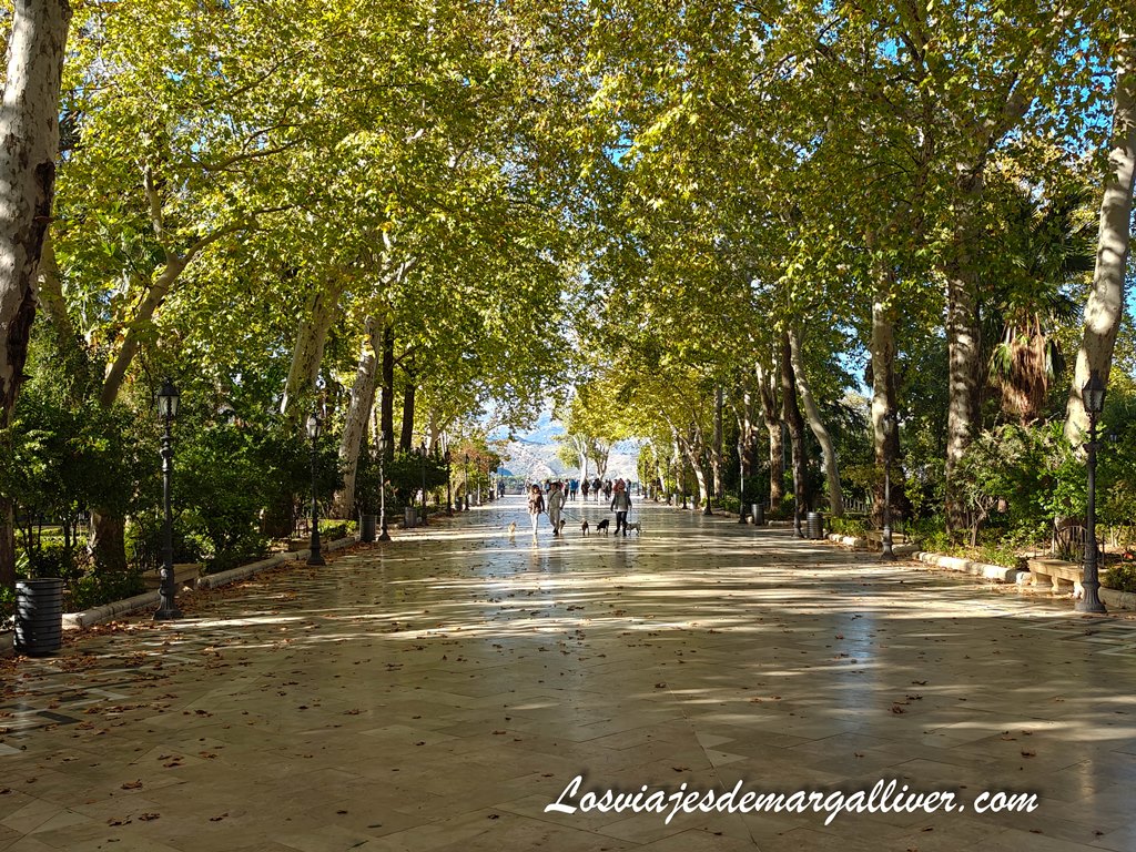 La alameda del Tajo, el pulmón verde de Ronda La alameda del Tajo, el pulmón verde de Ronda - Los viajes de Margalliver