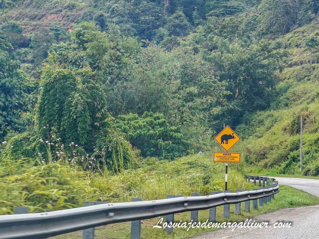 Señal de aviso de animales salvajes en la carretera nacional 4 en Malasia Señal de aviso de animales salvajes en la carretera nacional 4 en Malasia - Los viajes de Margalliver