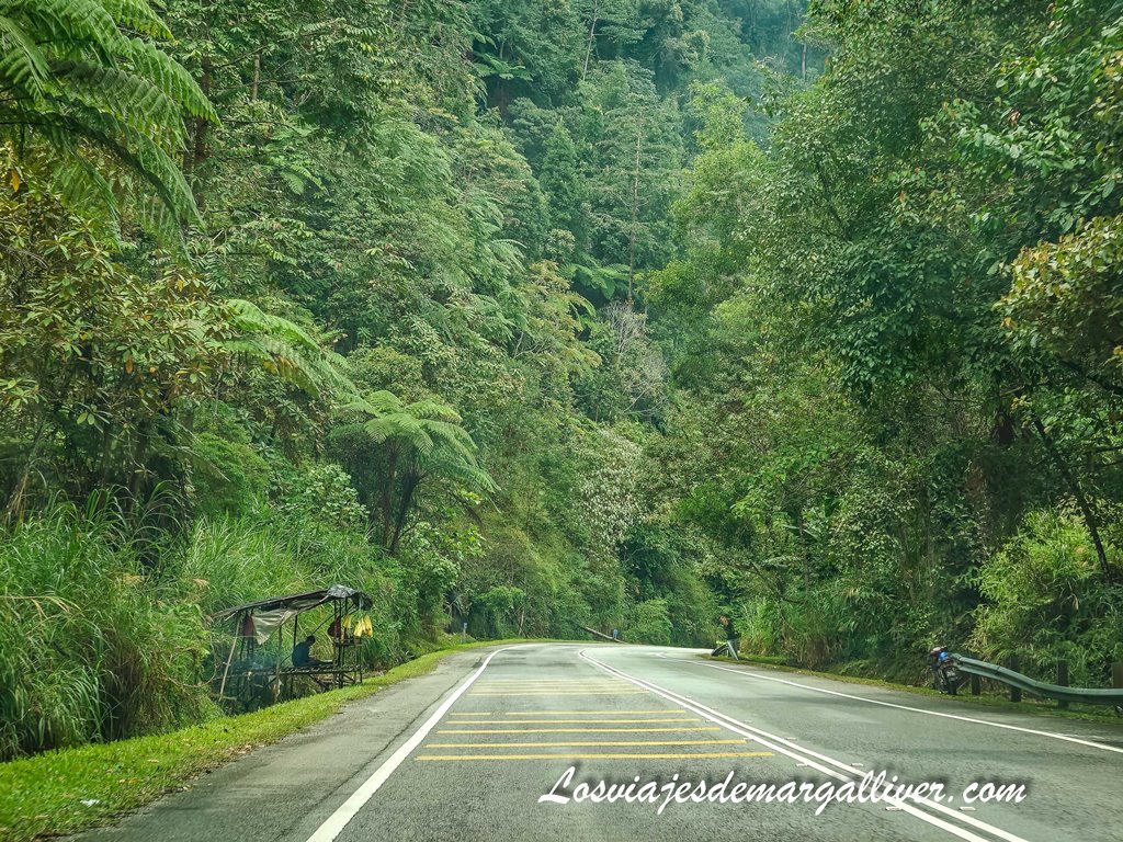 Carretera desde Cameron Highlands a Ipoh, guía para conducir en Malasia Carretera desde Cameron Highlands a Ipoh, guía para conducir en Malasia - Los viajes de Margalliver