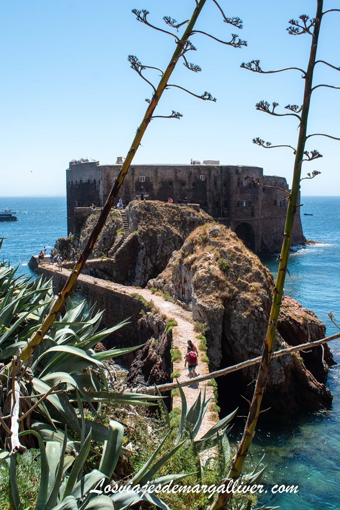 Puente de piedra que da acceso a la Fortaleza de São João Baptista en las Islas Berlengas Puente de piedra que da acceso a la Fortaleza de São João Baptista en las Islas Berlengas - Los viajes de Margalliver