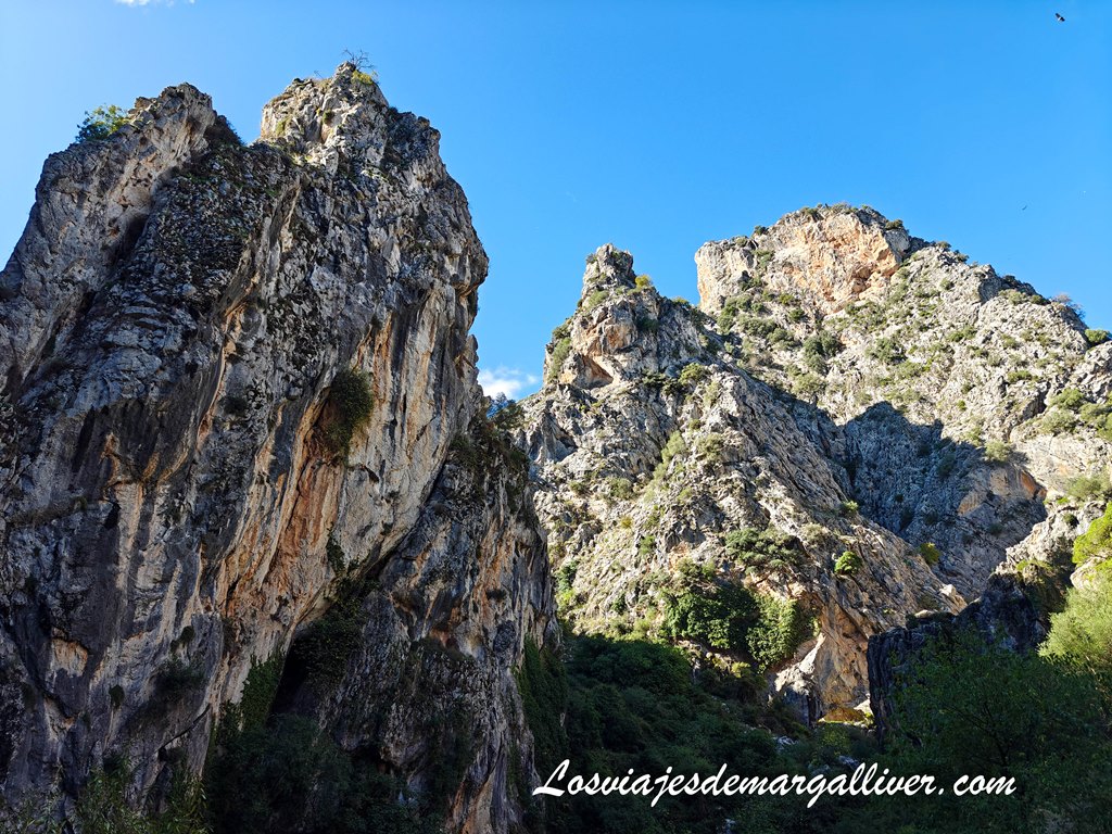 Entorno natural de la vía Ferrata la Presa de los Caballeros, muy cerca de Ronda Entorno natural de la vía Ferrata la Presa de los Caballeros, muy cerca de Ronda - Los viajes de Margalliver
