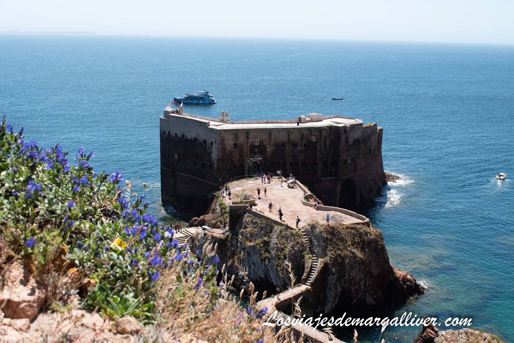 Vegetación de Las Islas Berlengas con la Fortaleza de São João Baptista al fondo Vegetación de Las Islas Berlengas con la Fortaleza de São João Baptista al fondo - Los viajes de Margalliver