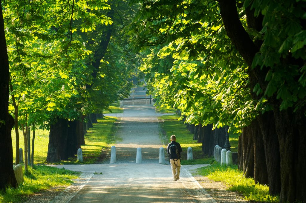 Parque Tívoli, el pulmón verder de Ljubljana Parque Tívoli, el pulmón verder de Ljubljana - Los viajes de Margalliver