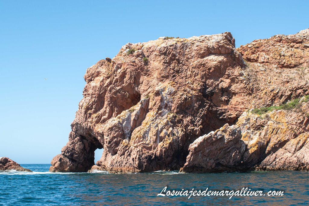 Espectacular roca con forma de Cabeza de Elefante en las Islas Berlengas, Portugal Espectacular roca con forma de Cabeza de Elefante en las Islas Berlengas, Portugal - Los viajes de Margalliver