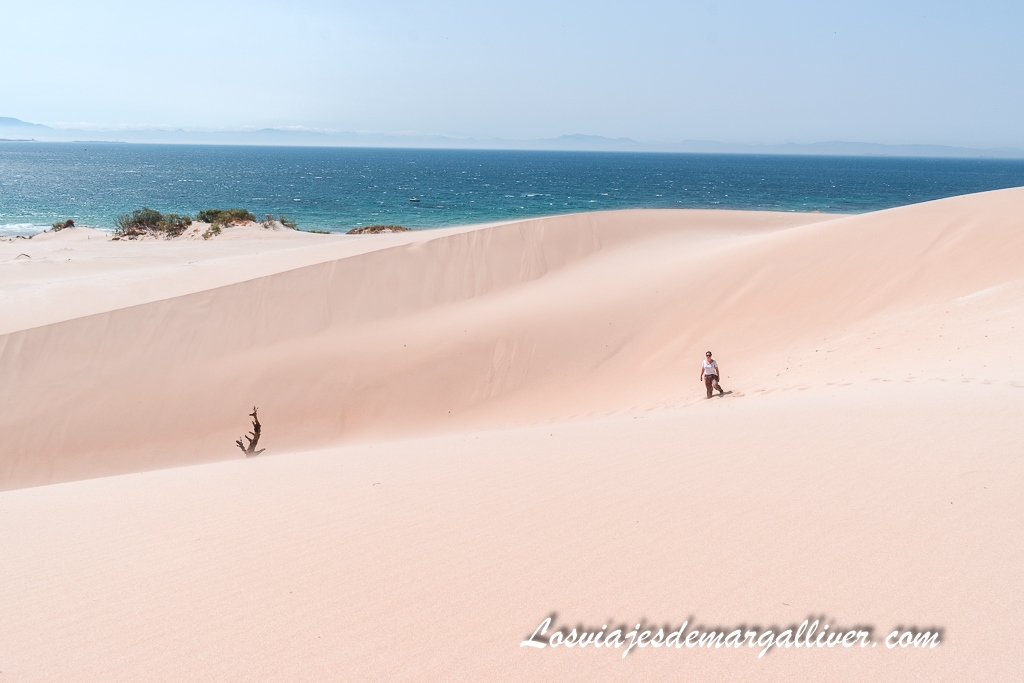 Margalliver en la espectacular Duna de Valdevaqueros en Tarifa Margalliver en la espectacular Duna de Valdevaqueros en Tarifa - Los viajes de Margalliver