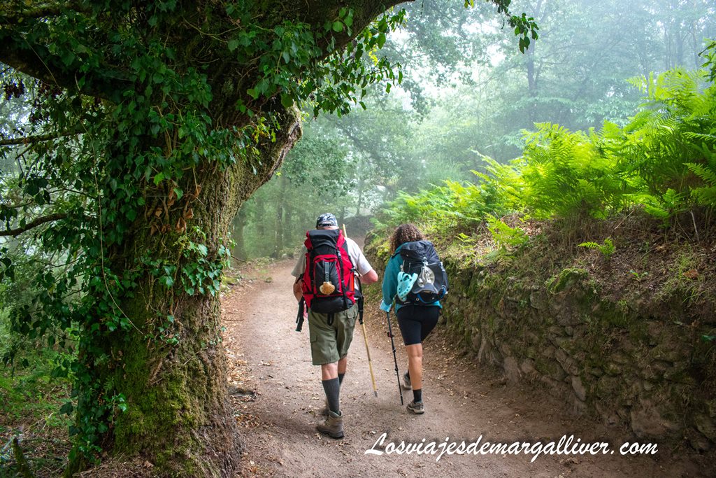 Pareja de peregrinos realizando el Camino de Santiago Pareja de peregrinos realizando el Camino de Santiago - Los viajes de margalliver