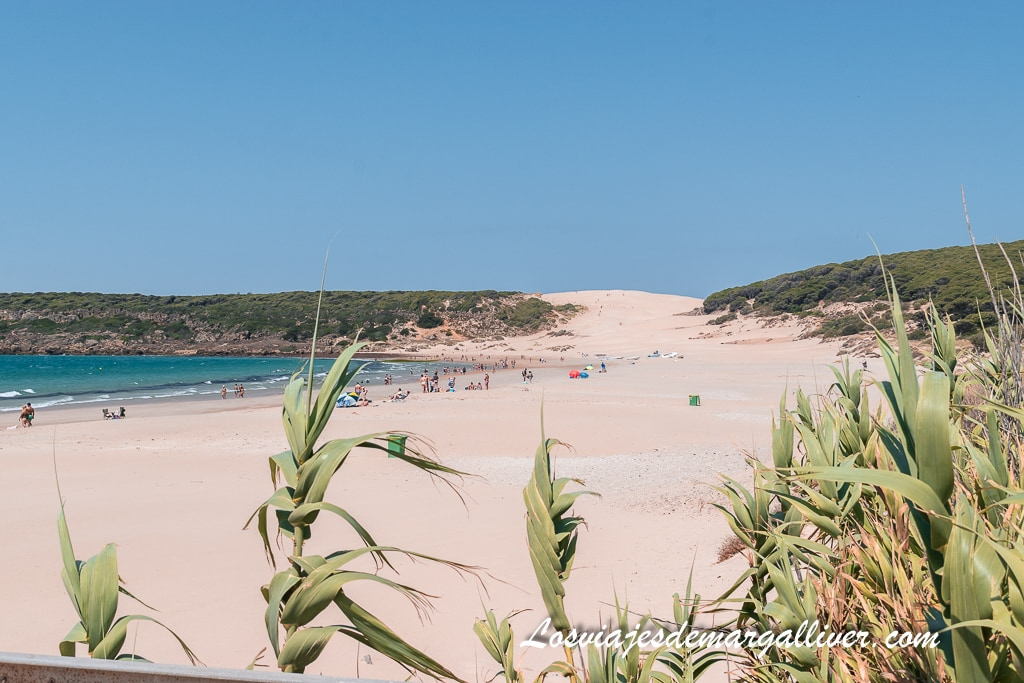 Playa de Bolonia con su famosa duna al fondo , qué ver en Tarifa Playa de Bolonia con su famosa duna al fondo , qué ver en Tarifa - Los viajes de Margalliver