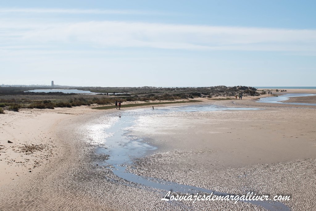 Playa de Castilnovo en Conil de la Frontera, Cádiz Playa de Castilnovo en Conil de la Frontera, Cádiz - Los viajes de Margalliver