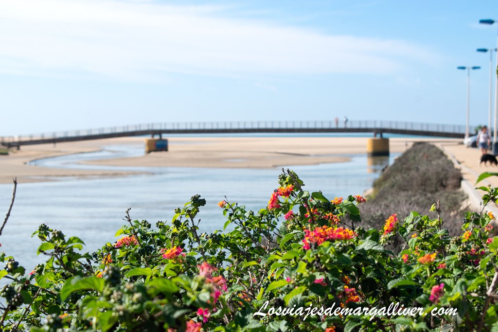 Puente del sendero Cabo de Trafalgar que cruza el río Salado en su desembocadura Puente del sendero Cabo de Trafalgar que cruza el río Salado en su desembocadura en Conil - Los viajes de Margalliver