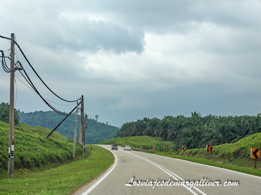 Tramo de la carretera nacional 1 en Malasia, guía para conducir en Malasia Tramo de la carretera nacional 1 en Malasia, guía para conducir en Malasia - Los viajes de Margalliver