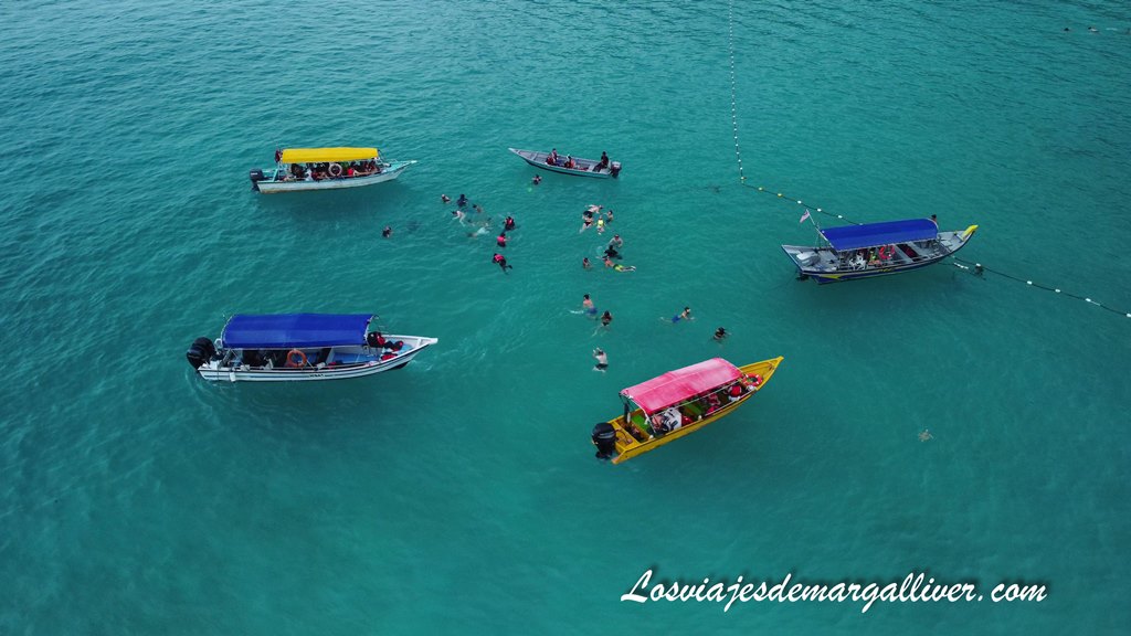Turtle point en el tour de Snorkel por las Perhentian Turtle point en el tour de Snorkel por las Perhentian - Los viajes de Margalliver