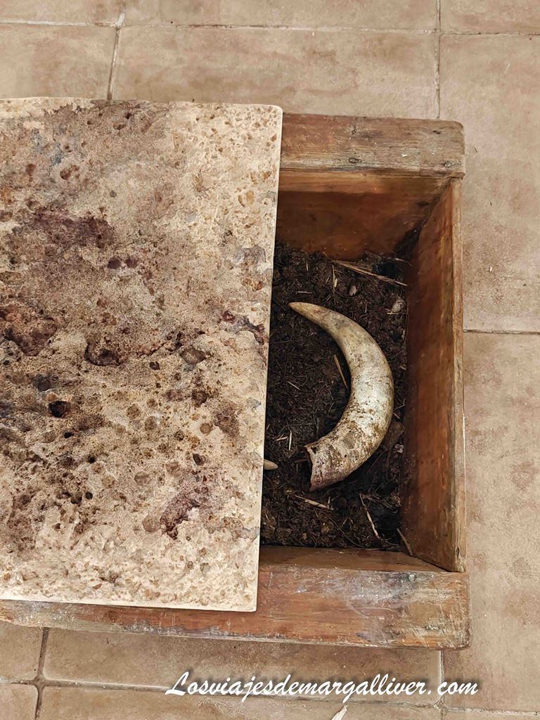 Cuernos de vaca con compost, abono natural que utilizan en la bodega Pagos de la Encomienda Cuernos de vaca con compost, abono natural que utilizan en la bodega Pagos de la Encomienda - Los viajes de Margalliver