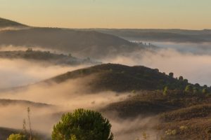 banner_huelva